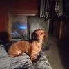 wrightmarjie037